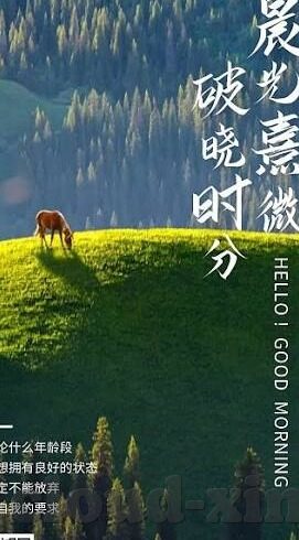 十四胜负足球比分网-探秘十四胜负足球比分网，球迷的智慧导航与赛事分析新平台